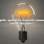 Réponse rapide : quand les écureuils commencent-ils à cueillir des noix ?